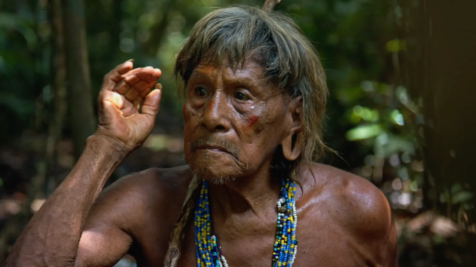 An elderly man from the Yasuni tribe