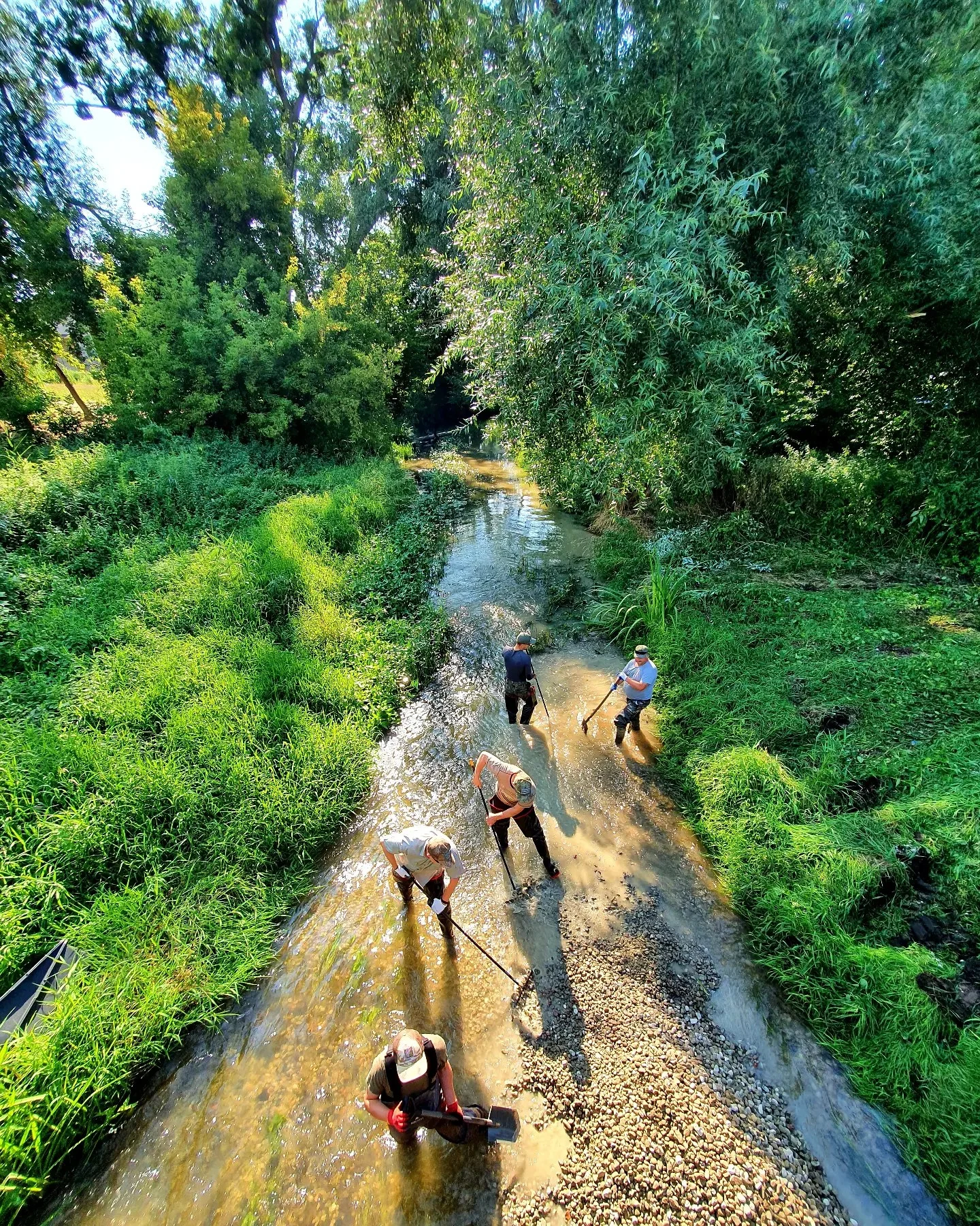 Cleaning the river