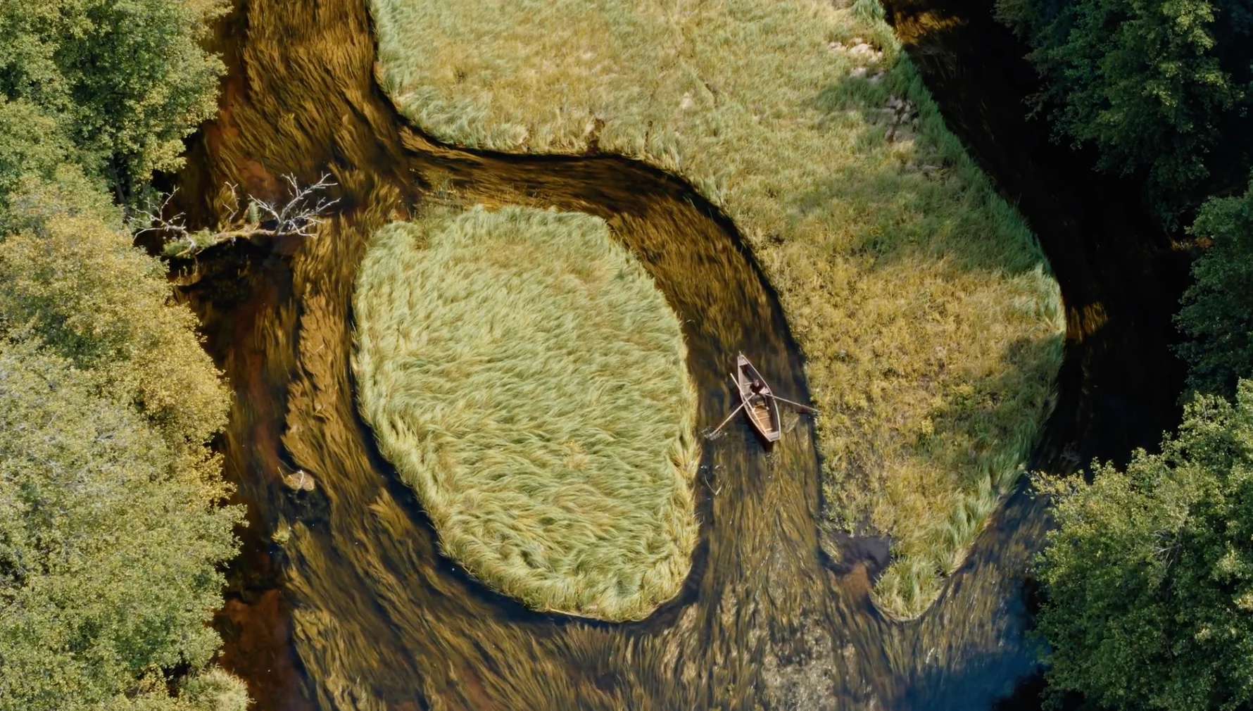 A frame from 'Until the Last Drop' showing a wild river